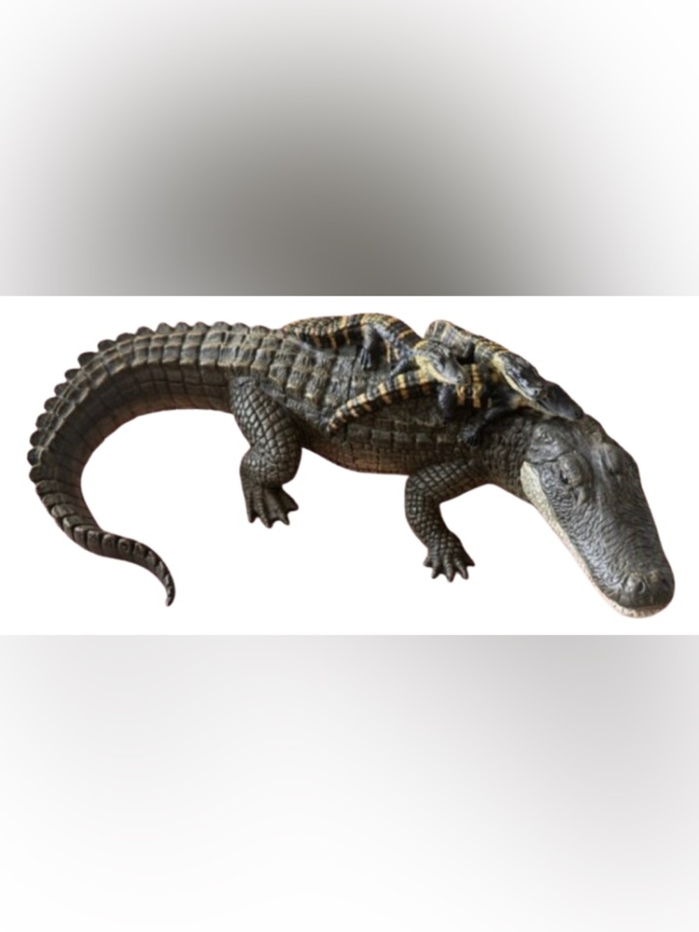 Realistic Alligator Toy Figures – Adult & Baby Set